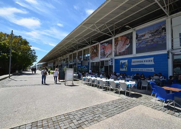 Expo Marina Lis