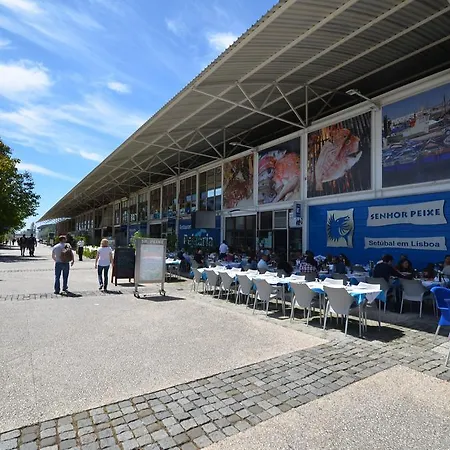 Expo Marina Lis